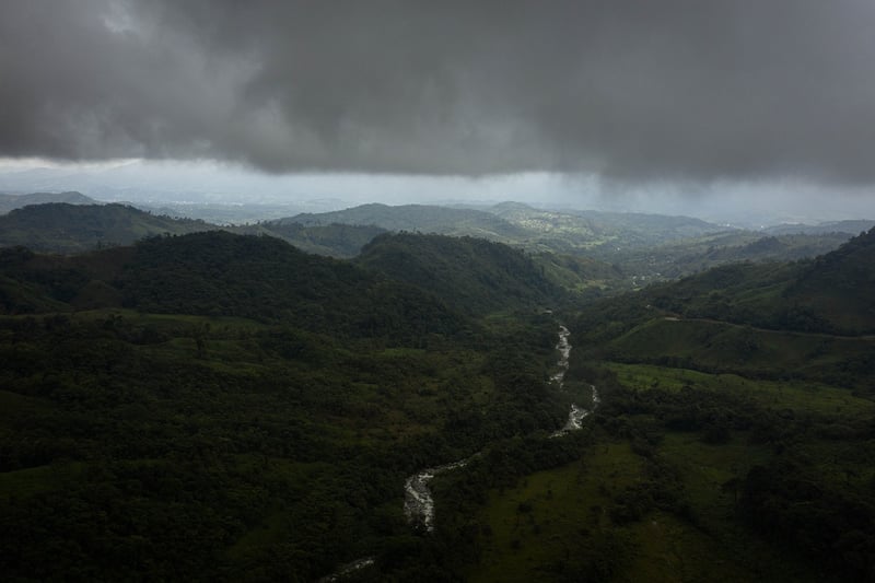 Amazon Rainforest